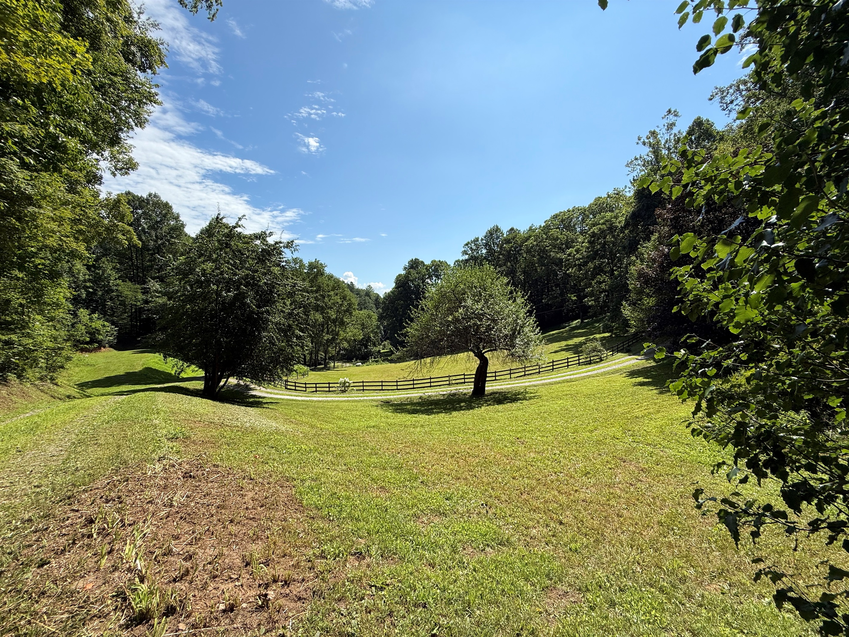 site-3-the-cove-at-dick-branch/