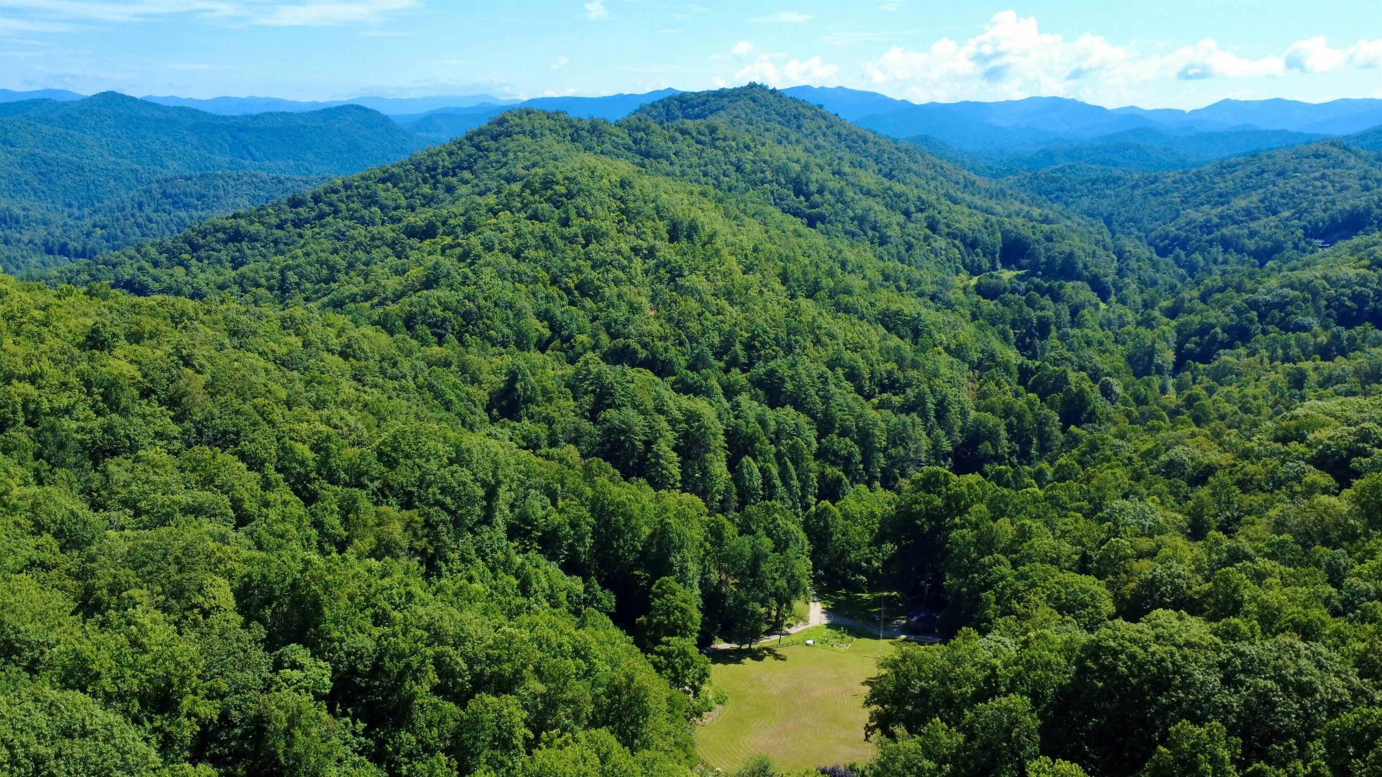 site-3-the-cove-at-dick-branch/