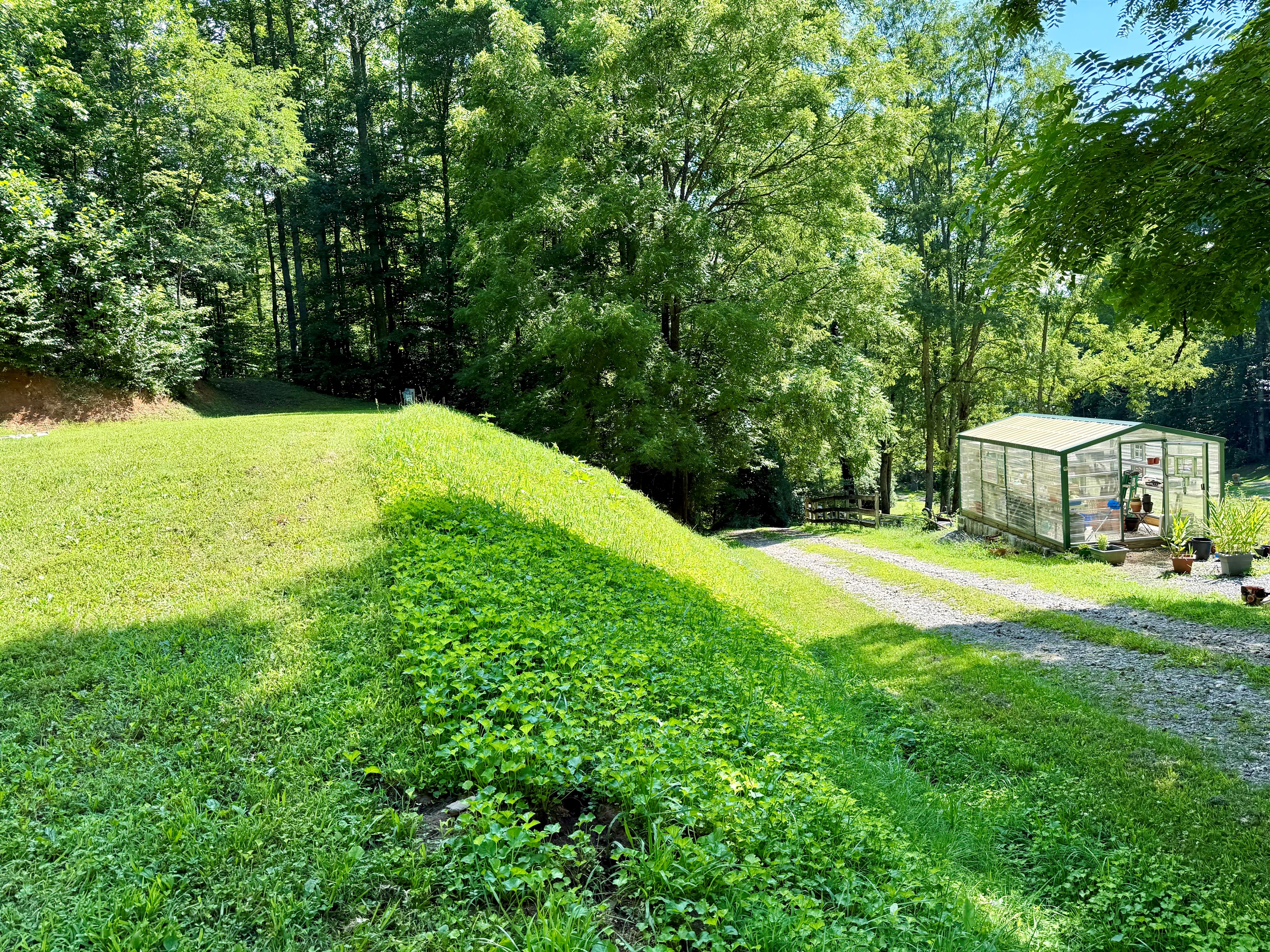 site-4-the-cove-at-dick-branch/