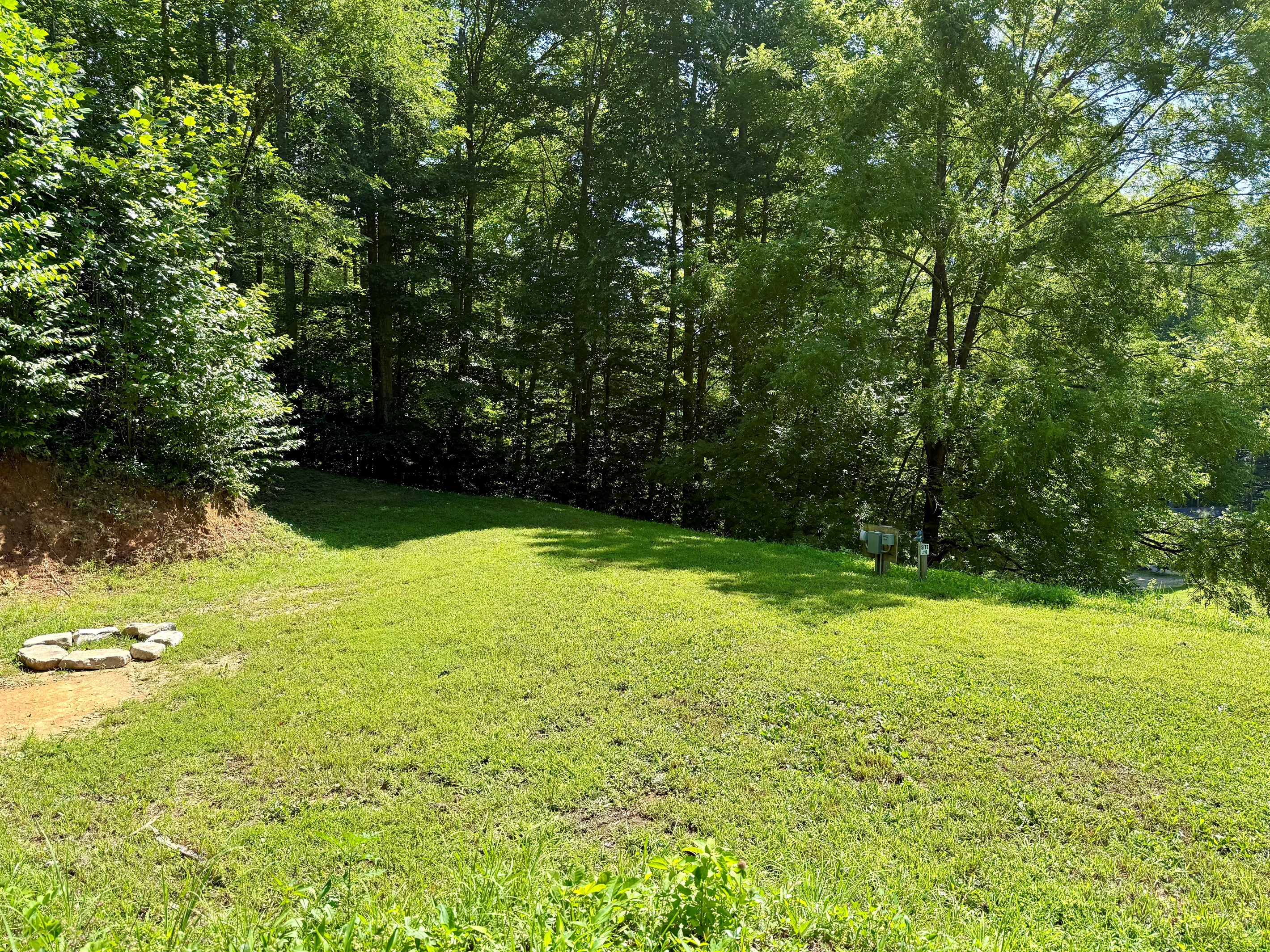 site-4-the-cove-at-dick-branch/