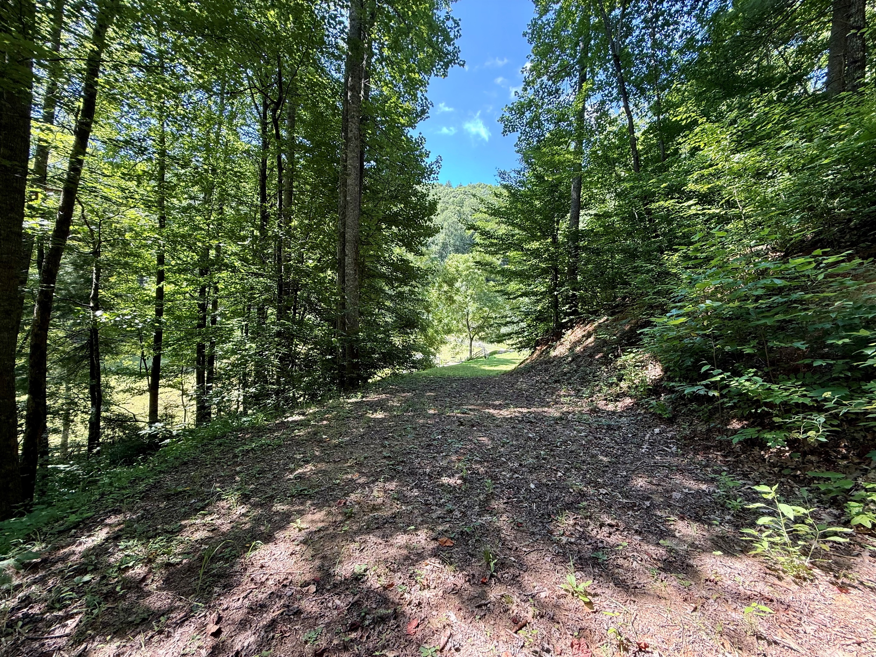 site-4-the-cove-at-dick-branch/