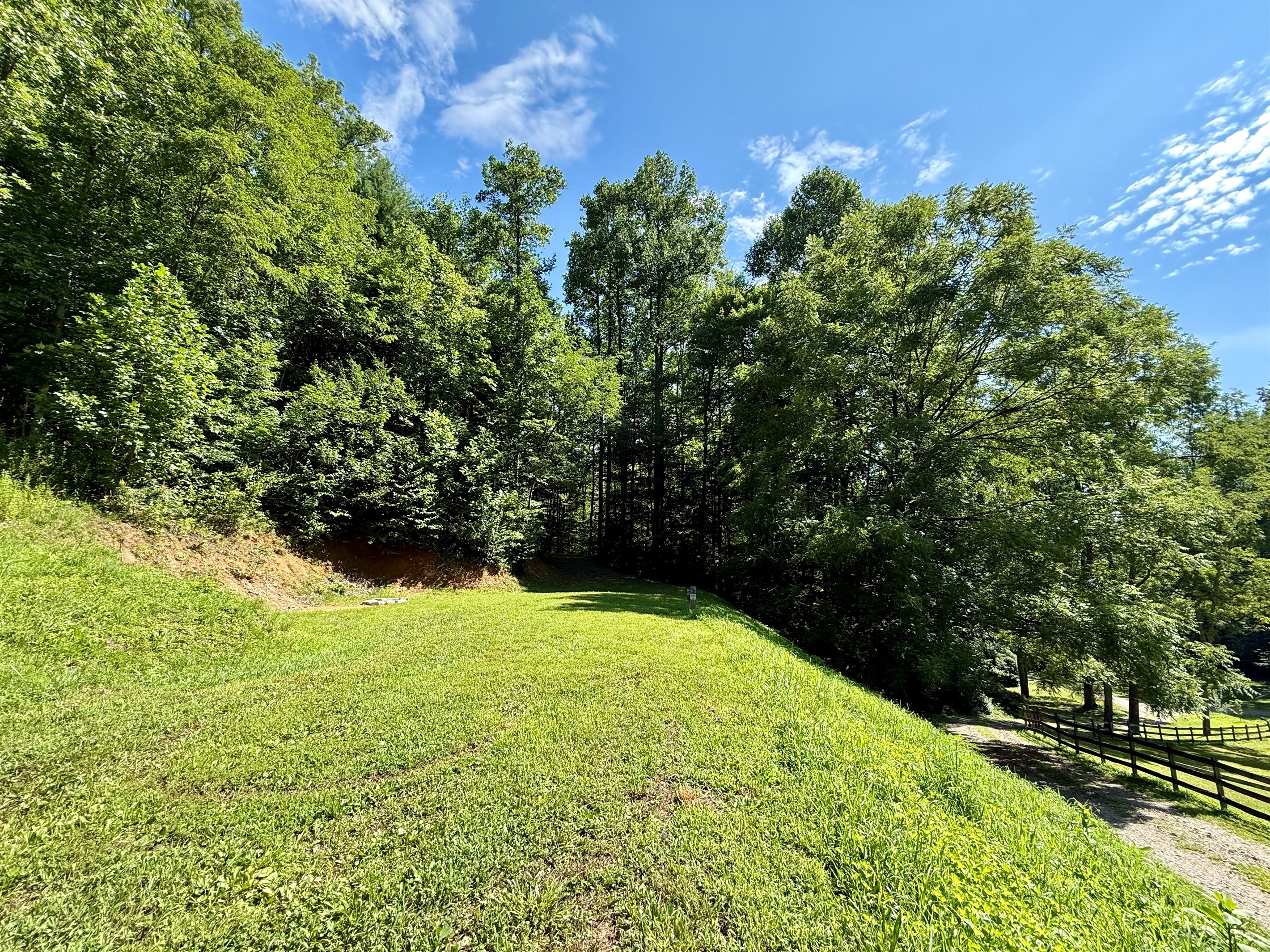 site-4-the-cove-at-dick-branch/