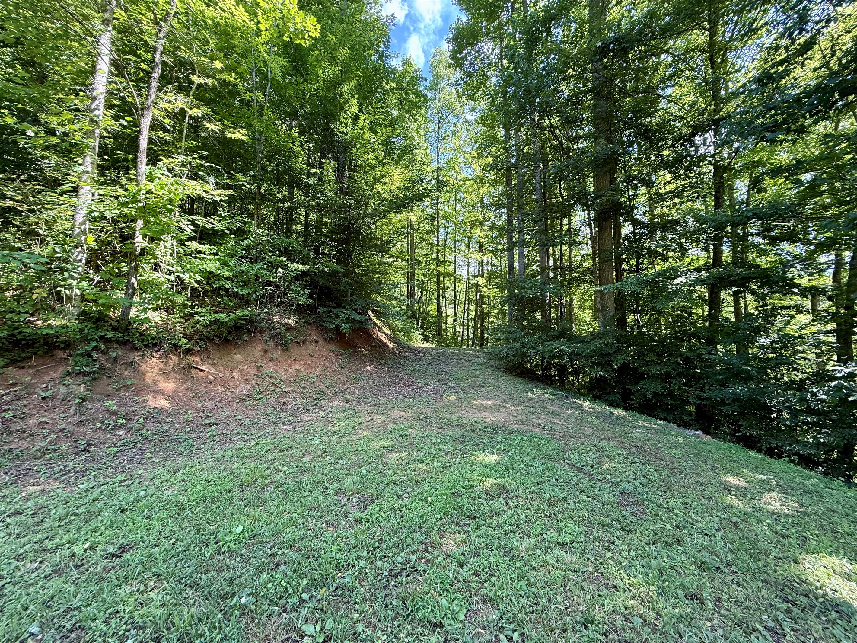 site-4-the-cove-at-dick-branch/