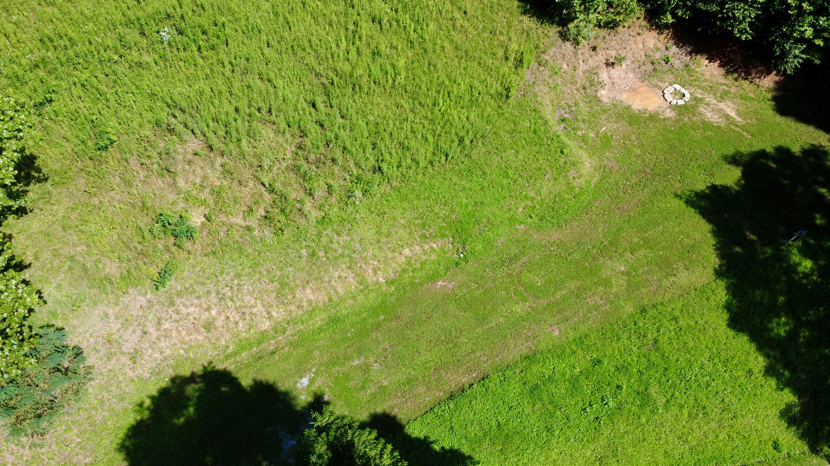 site-4-the-cove-at-dick-branch/