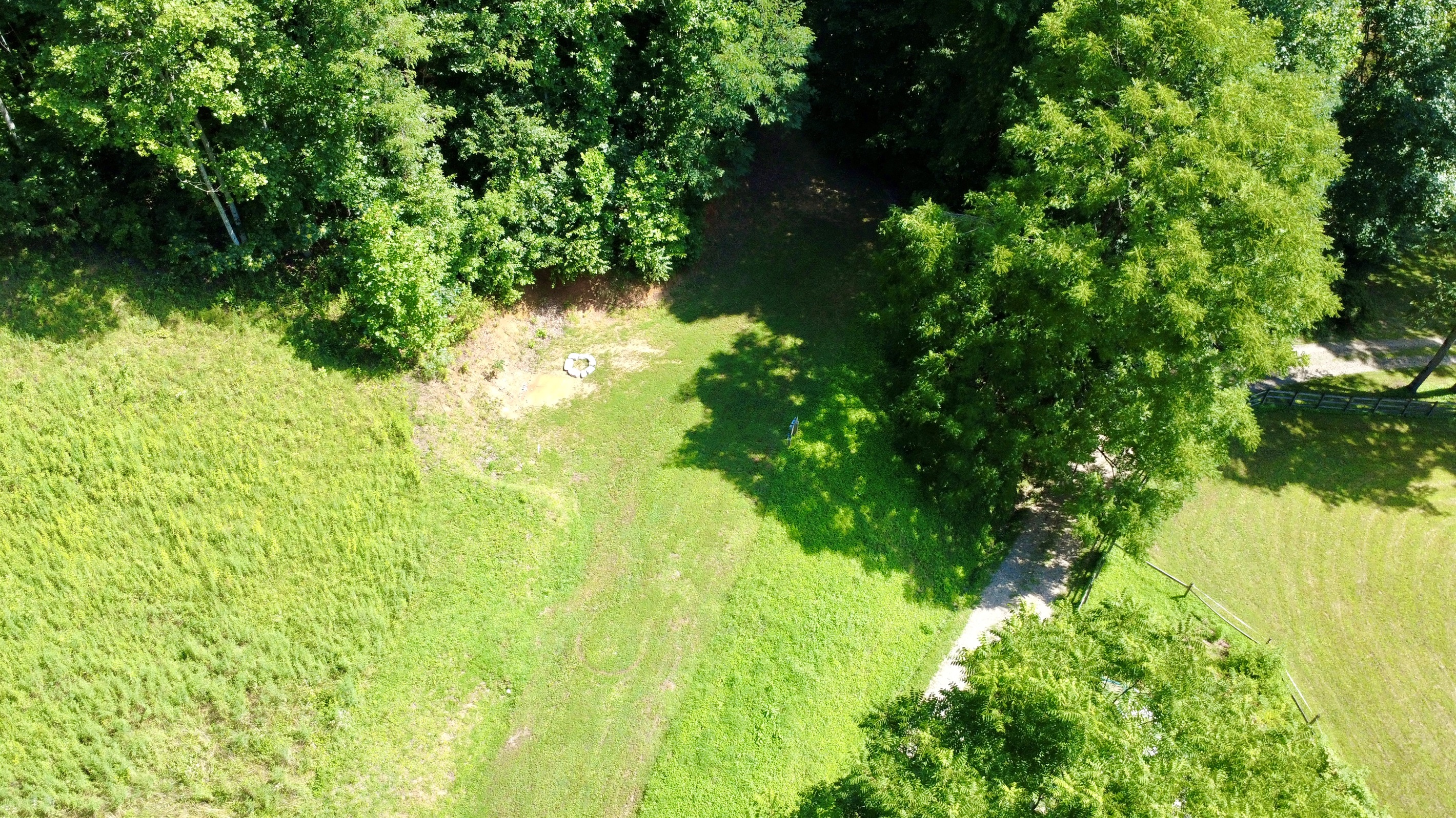 site-4-the-cove-at-dick-branch/