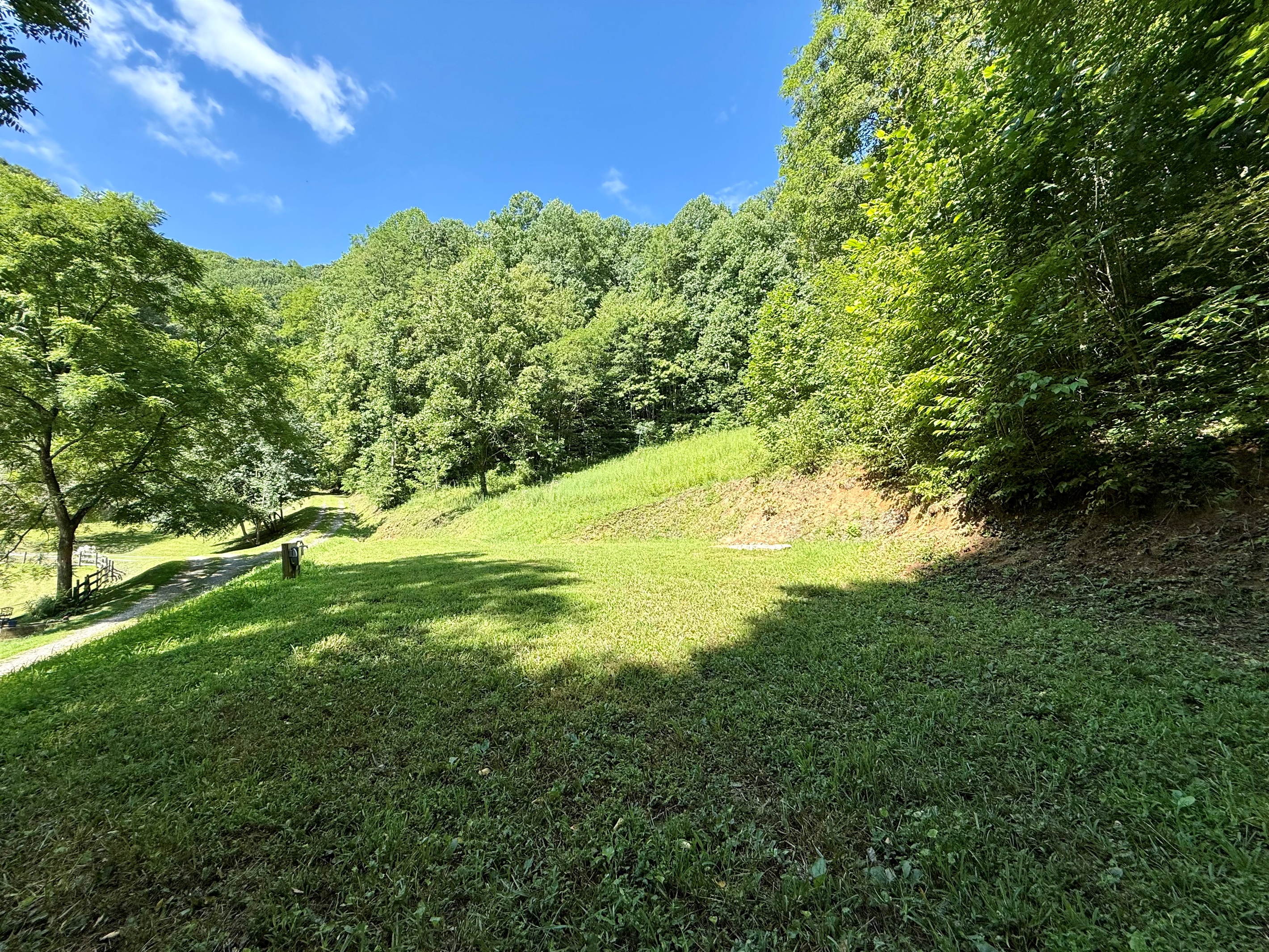 site-4-the-cove-at-dick-branch/