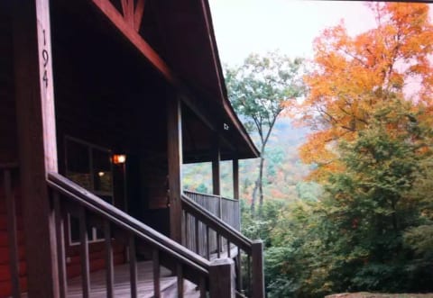 Fall Foliage