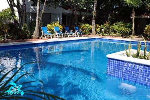 Our beautiful HUGE, unique to Akumal: large enough to swim in.