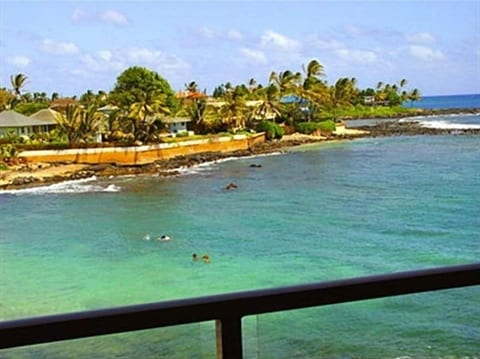 From our lanai, we can watch turtles feed and see whales in winter.