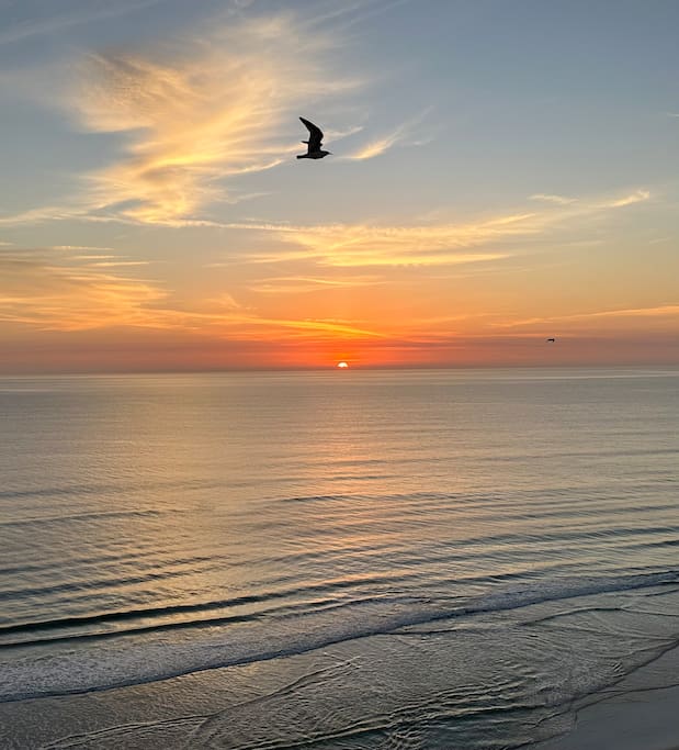 Sunrise view from the Owners' Lounge