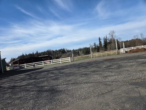 Cozy Tiny House on 13 acres, beaches & CN Border! image 5
