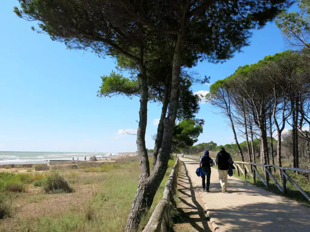 Parco dei Pini (BIB240) - Bibione