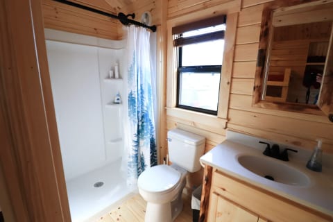 Bathroom with toilet, sink, and Walk-in Shower