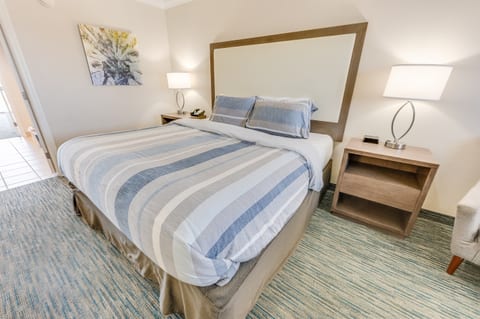 Coral Beach 1008 (New) - 1 Bedroom