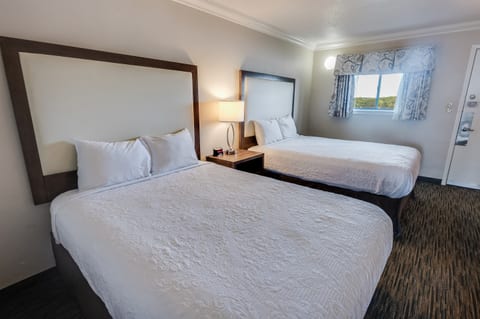 Coral Beach 916 (New) - 1 Bedroom