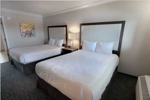 Coral Beach 916 (New) - 1 Bedroom