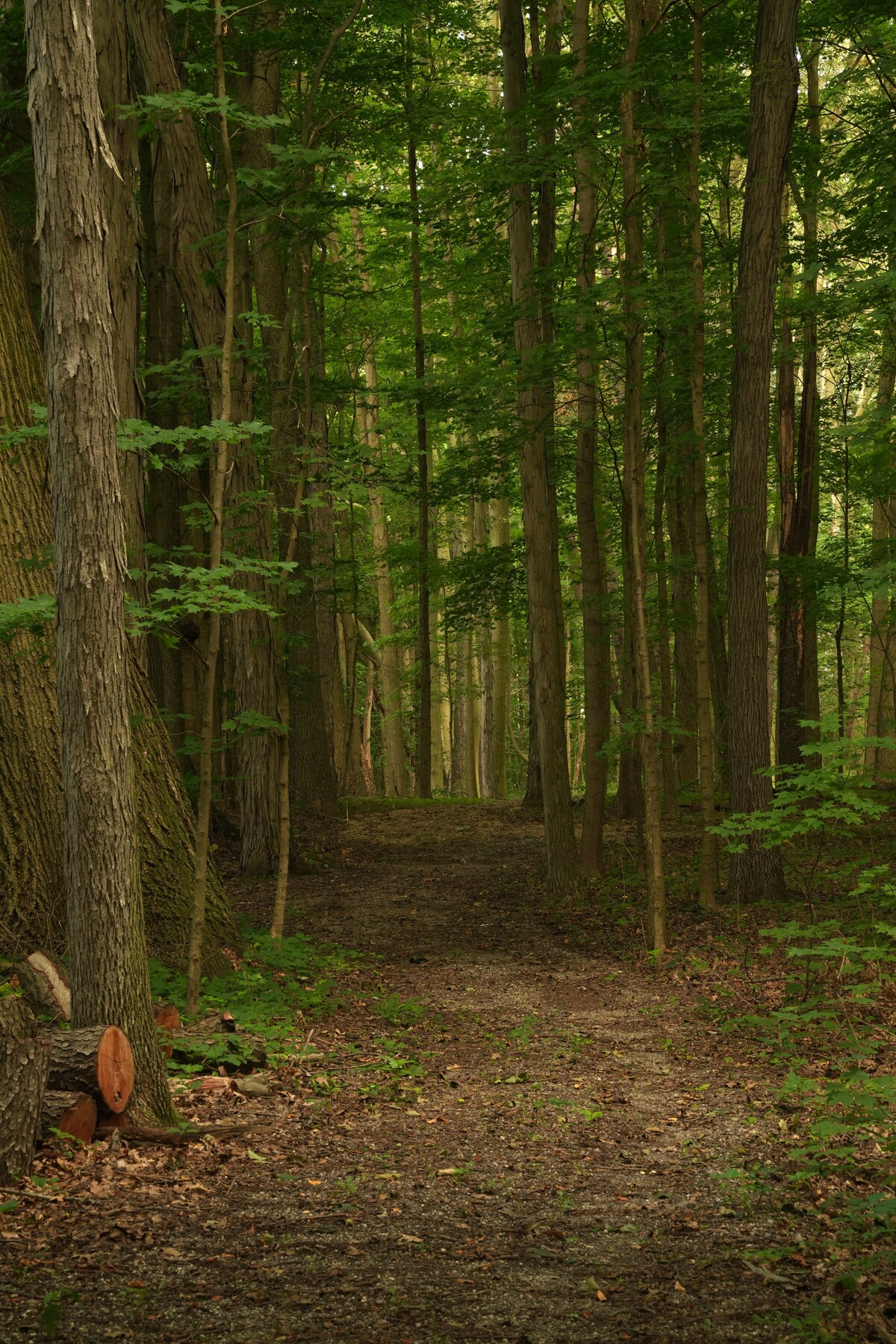 ma-and-pa's-"wild-at-heart"-cabin-outdoor-bath/