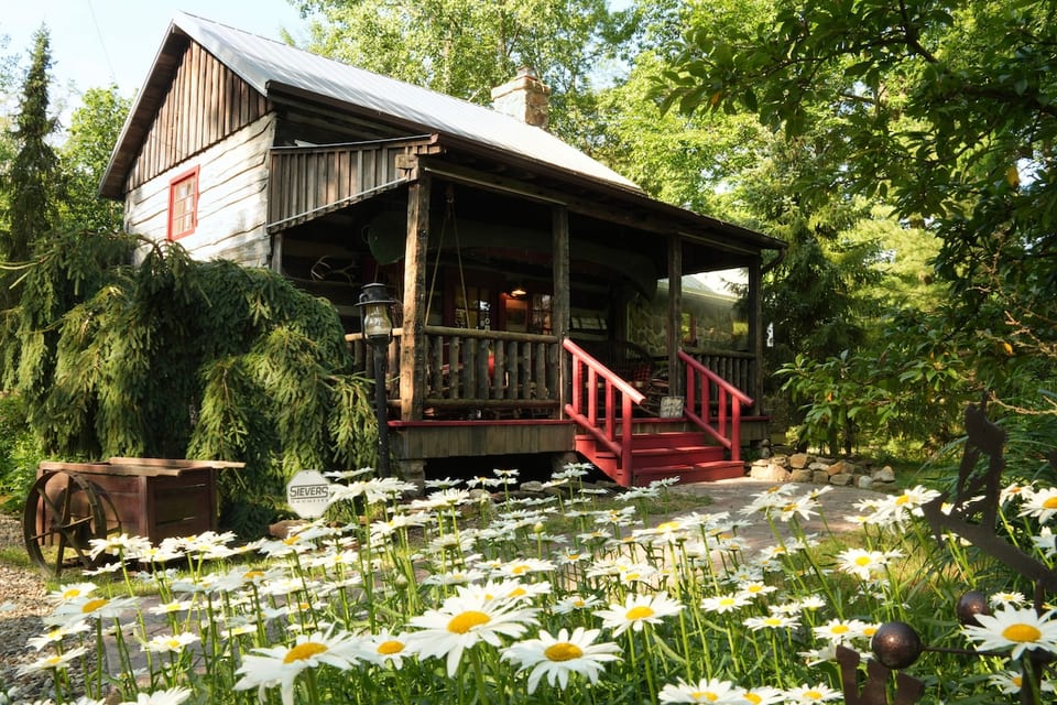 Summer at the Cabin!