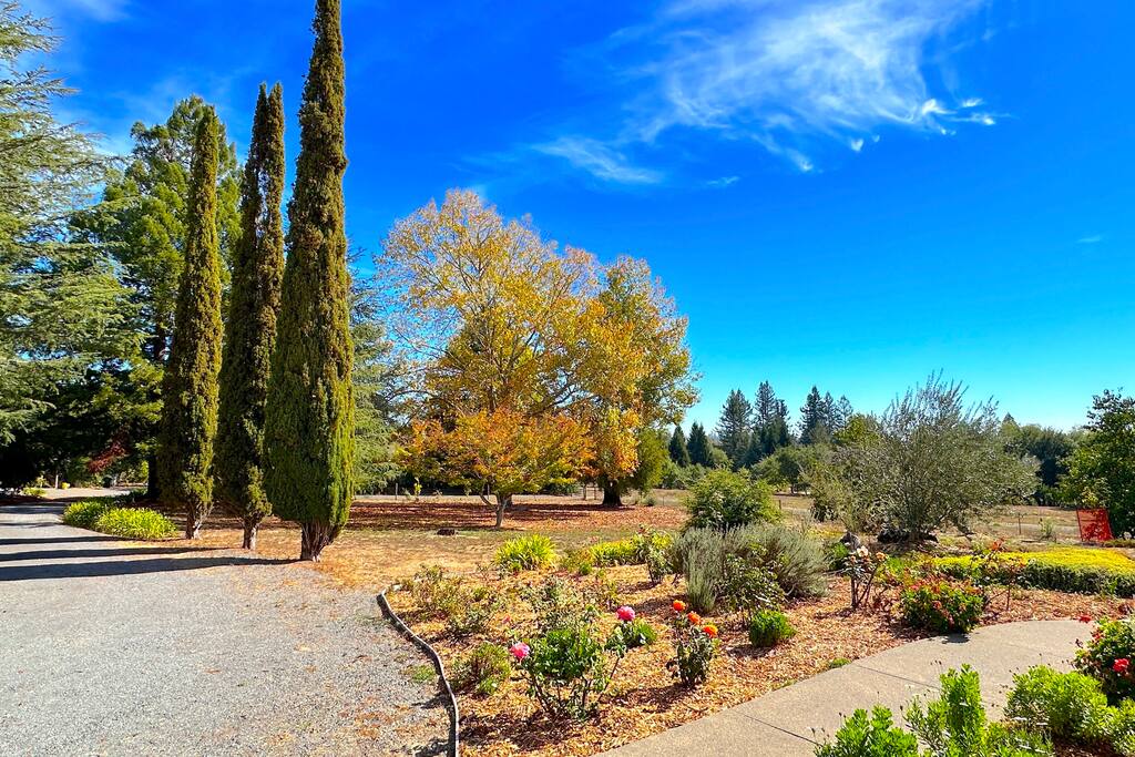 wine-country-nirvana/