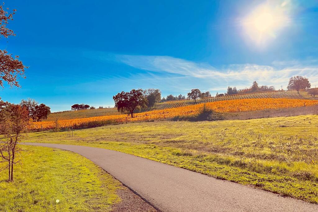 wine-country-nirvana/