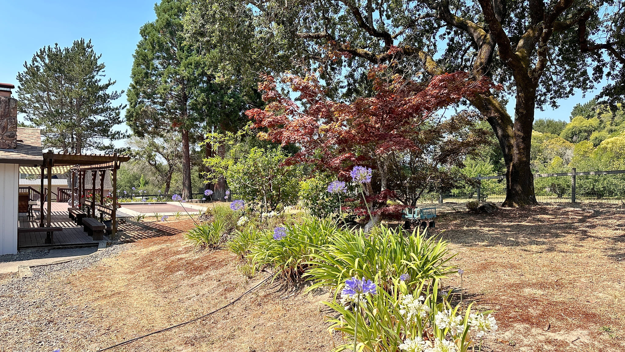 Shaded garden oasis with pergola deck, mature trees, and serene views.