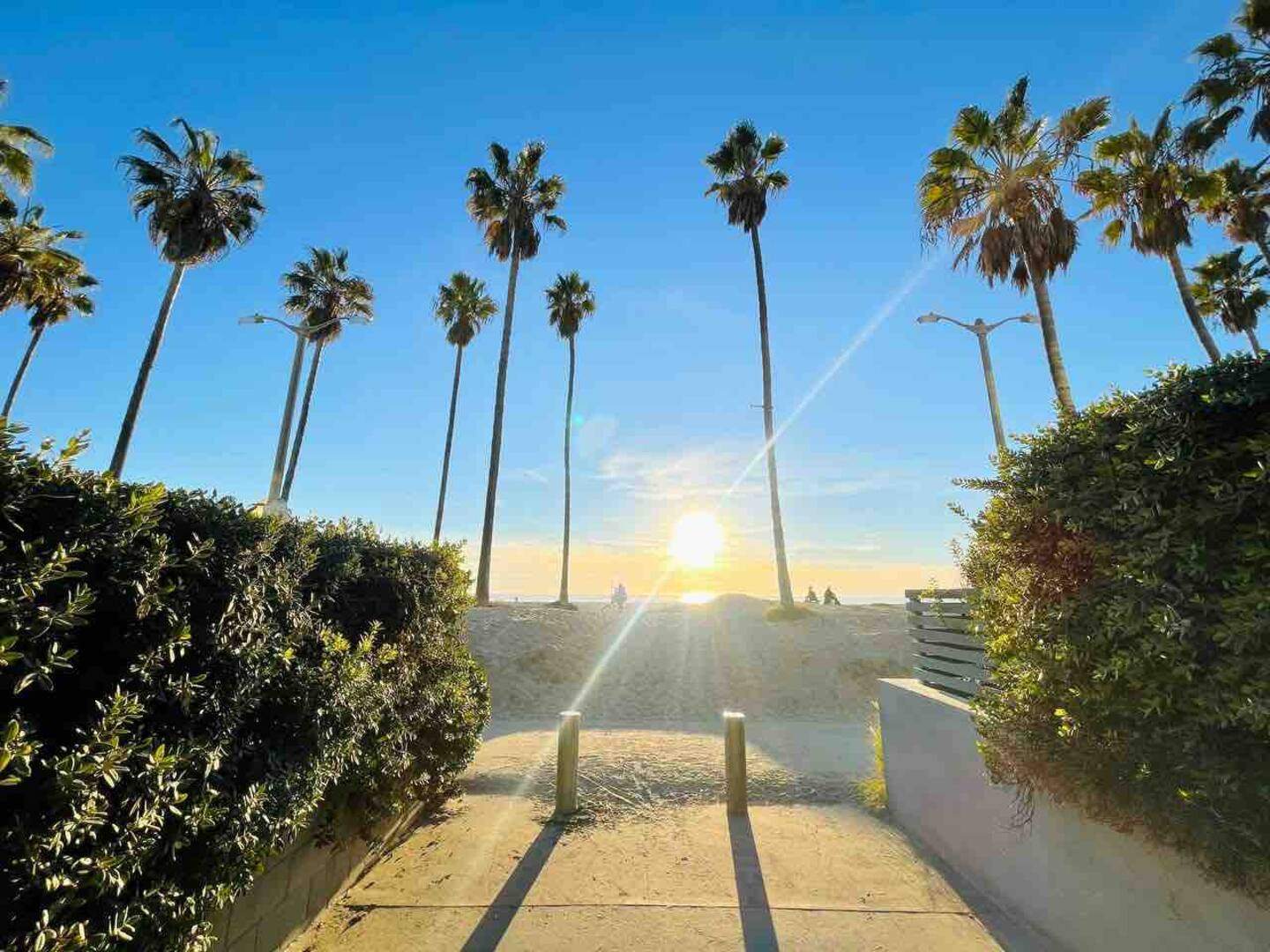 famous-venice-beach-getaway/