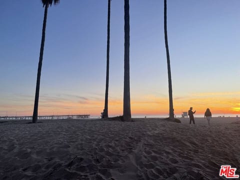 Famous Venice Beach Getaway
