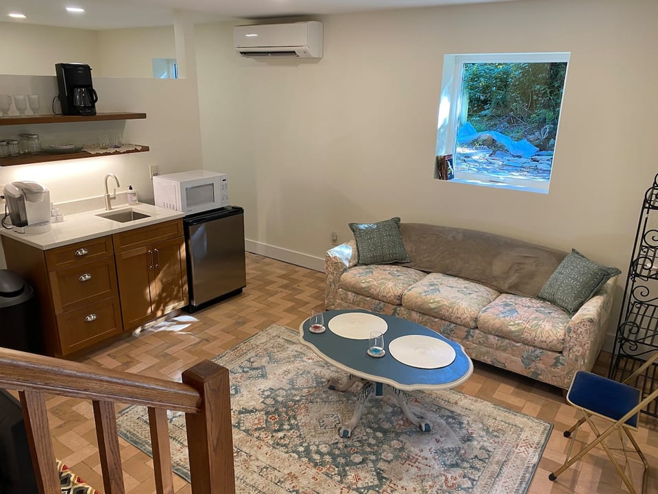 Kitchenette and sitting area with TV - this is a private area with your own entrance (attached to main house with locked door between).