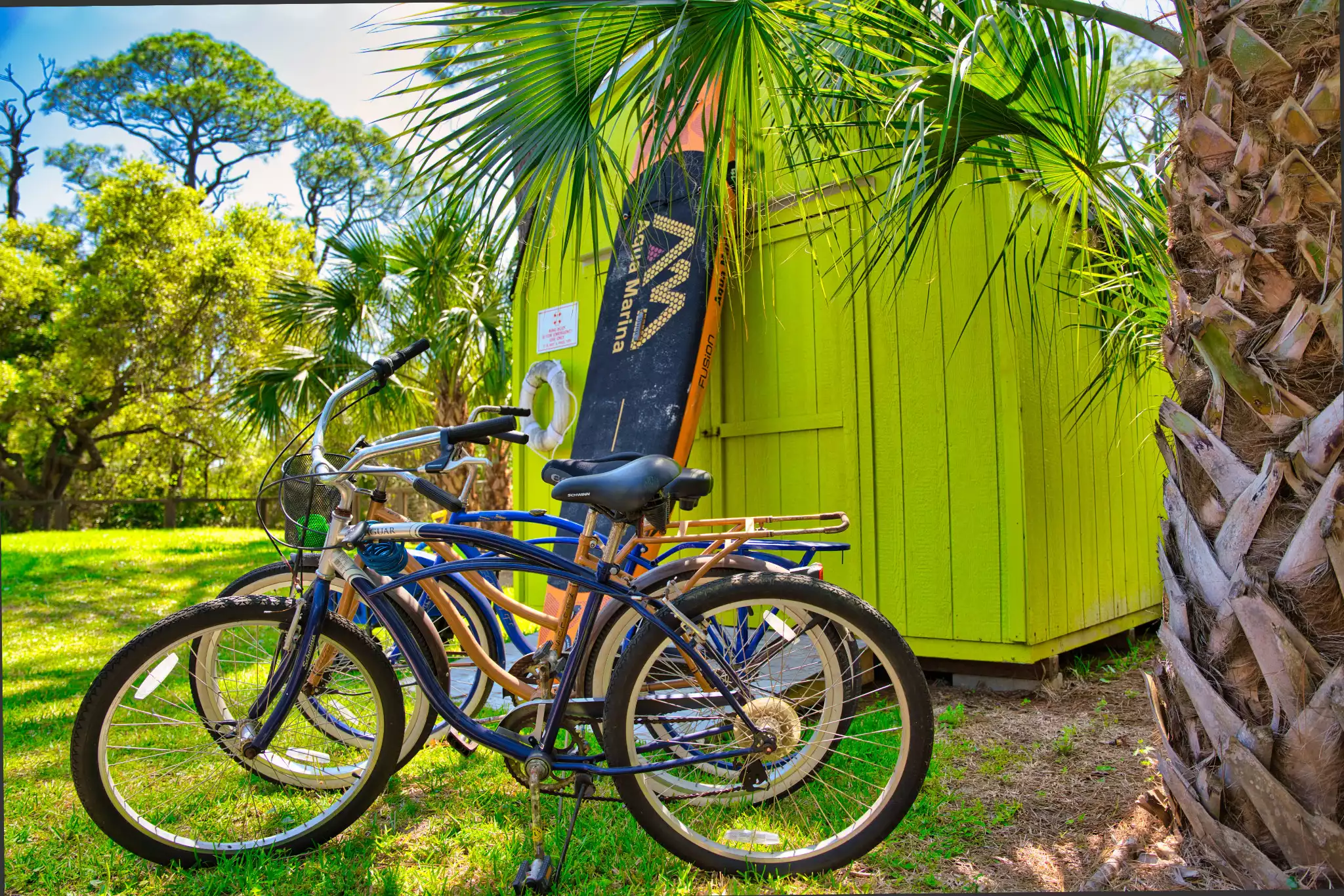 Bikes - The Salty Mermaid - Pool, Hot Tub, & Dog Friendly - St George Island