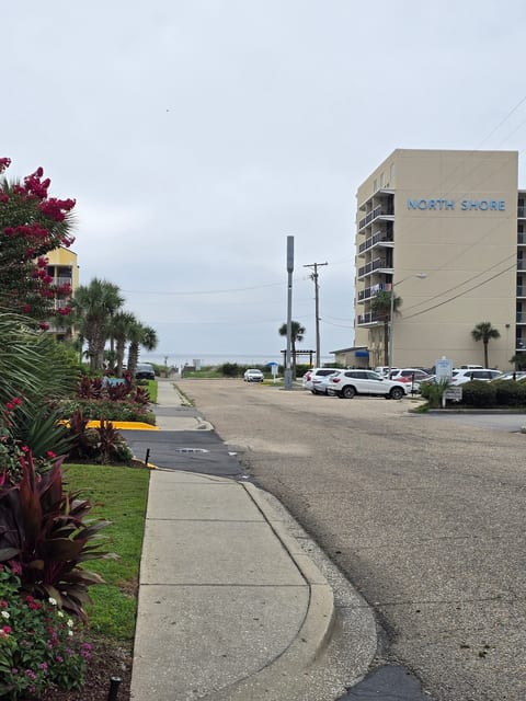 ocean view Condo in mrytle beach image 4