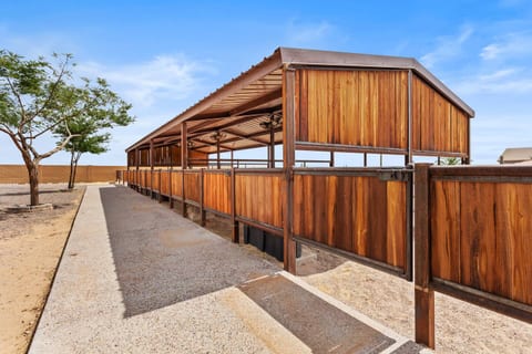 Saddle Butte Ranch | Horse Haven and RV Parking