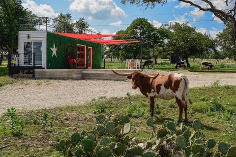 Charming Hill Country getaway in Fredericksburg, Texas — private B&B accommodations surrounded by peaceful countryside.