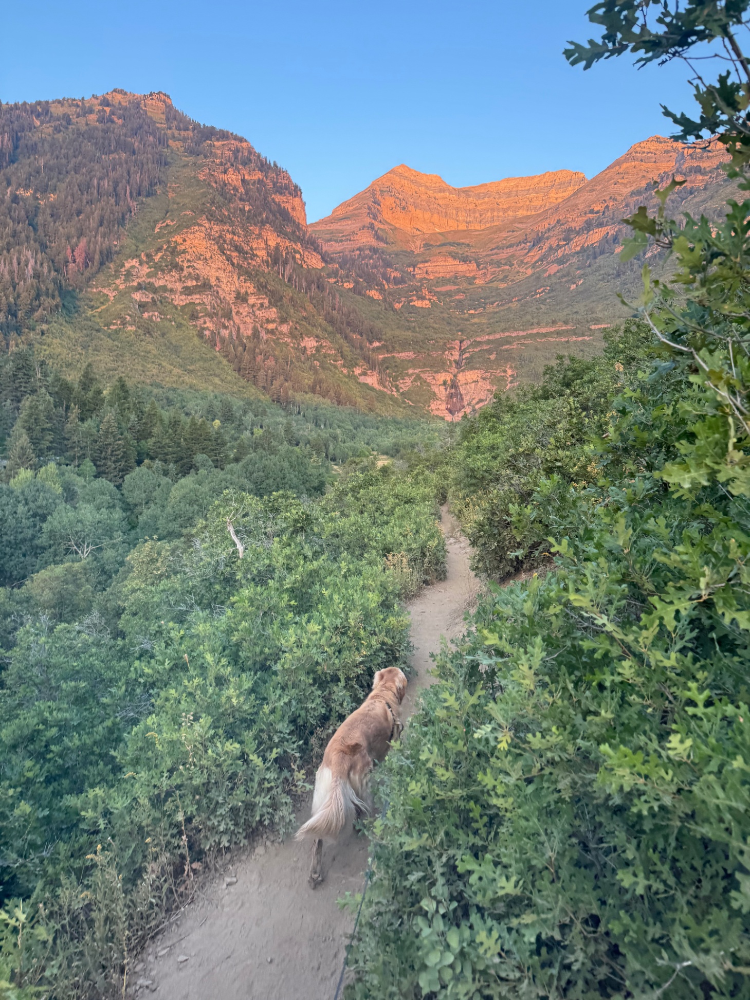 Timp Heaven Haus | Sundance Group Rental Cabin - Sundance