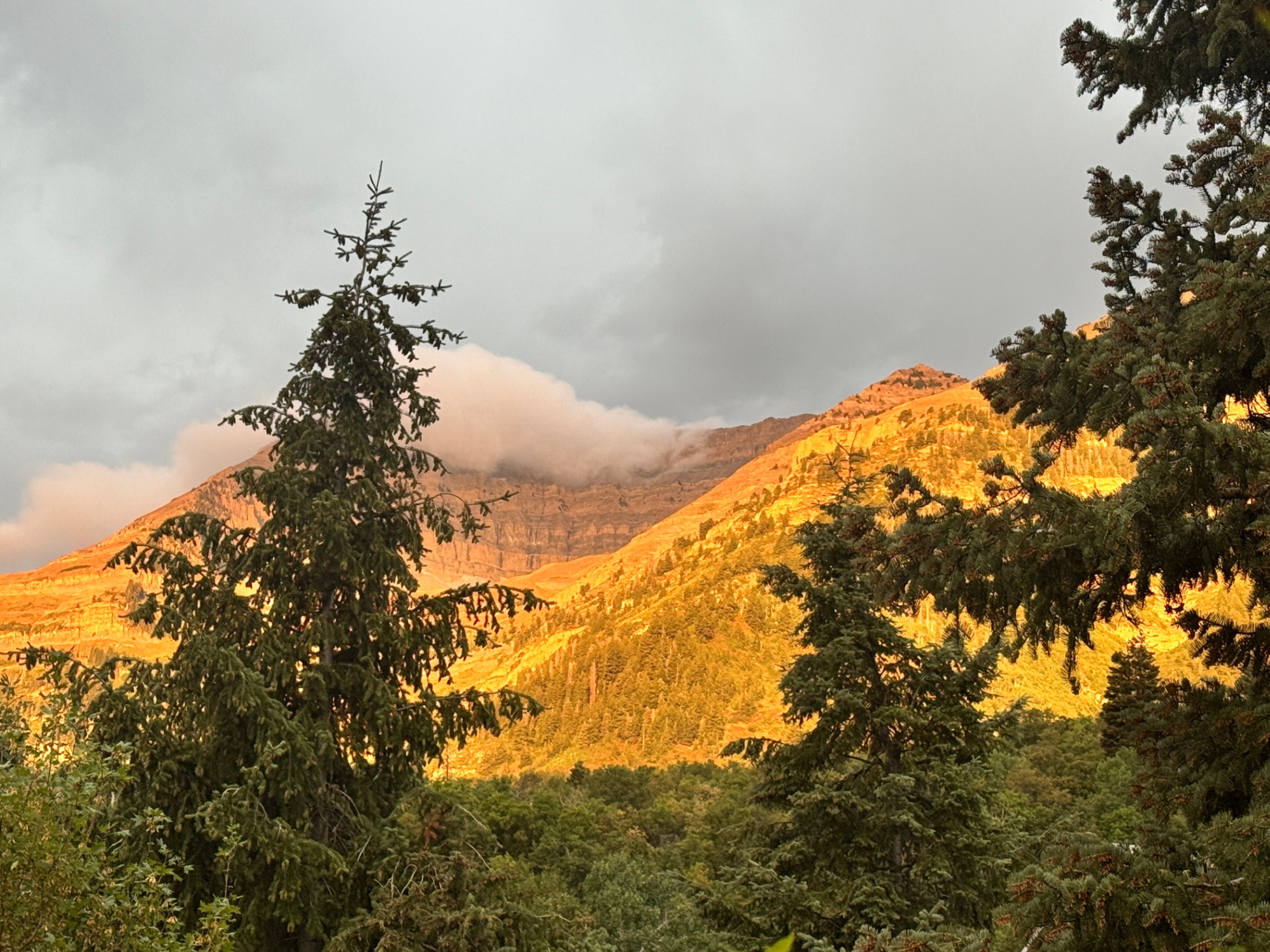 Views from private deck
