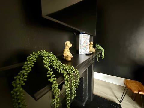 🌿 Casa Terra by Jungle House | Near Convention Center, OSU & Nationwide Arena | Downtown & Short North | 5,800+ Reviews | Free Parking