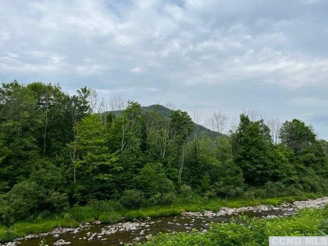 cozy-downtown-hunter-mountain-getaway/