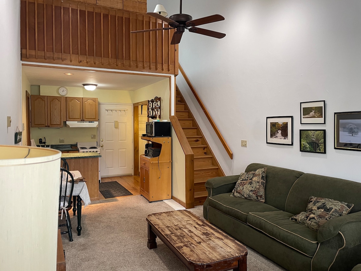 cozy-downtown-hunter-mountain-getaway/