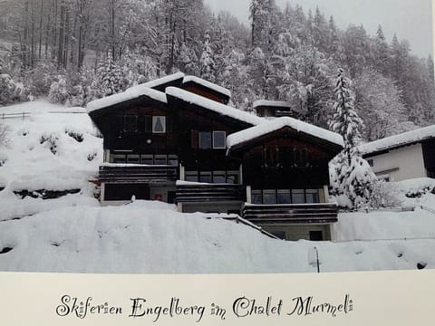 Chalet Murmeli Appartement/Fewo 6-Bettwohnung