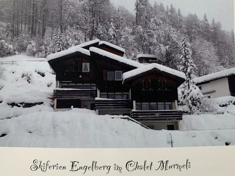 Chalet Murmeli Appartement/Fewo 6-Bettwohnung