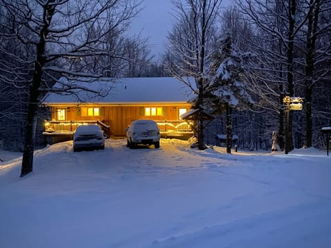 Cabin Fevers 1 near Lake Superior & Waterfalls, AC