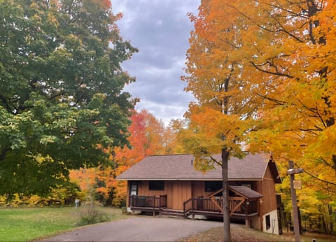 Cabin Fevers 1 near Lake Superior & Waterfalls, AC