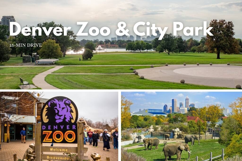 plush-king-beds-near-downtown-denver-or-fast-wifi/