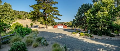 The Vintage Barn is set amongst 42 acres of pure bliss.