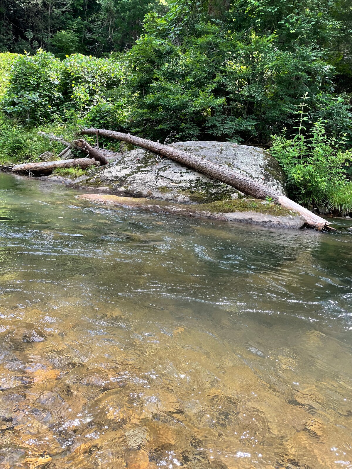 woodland-serenity-retreat-alpenhaus/