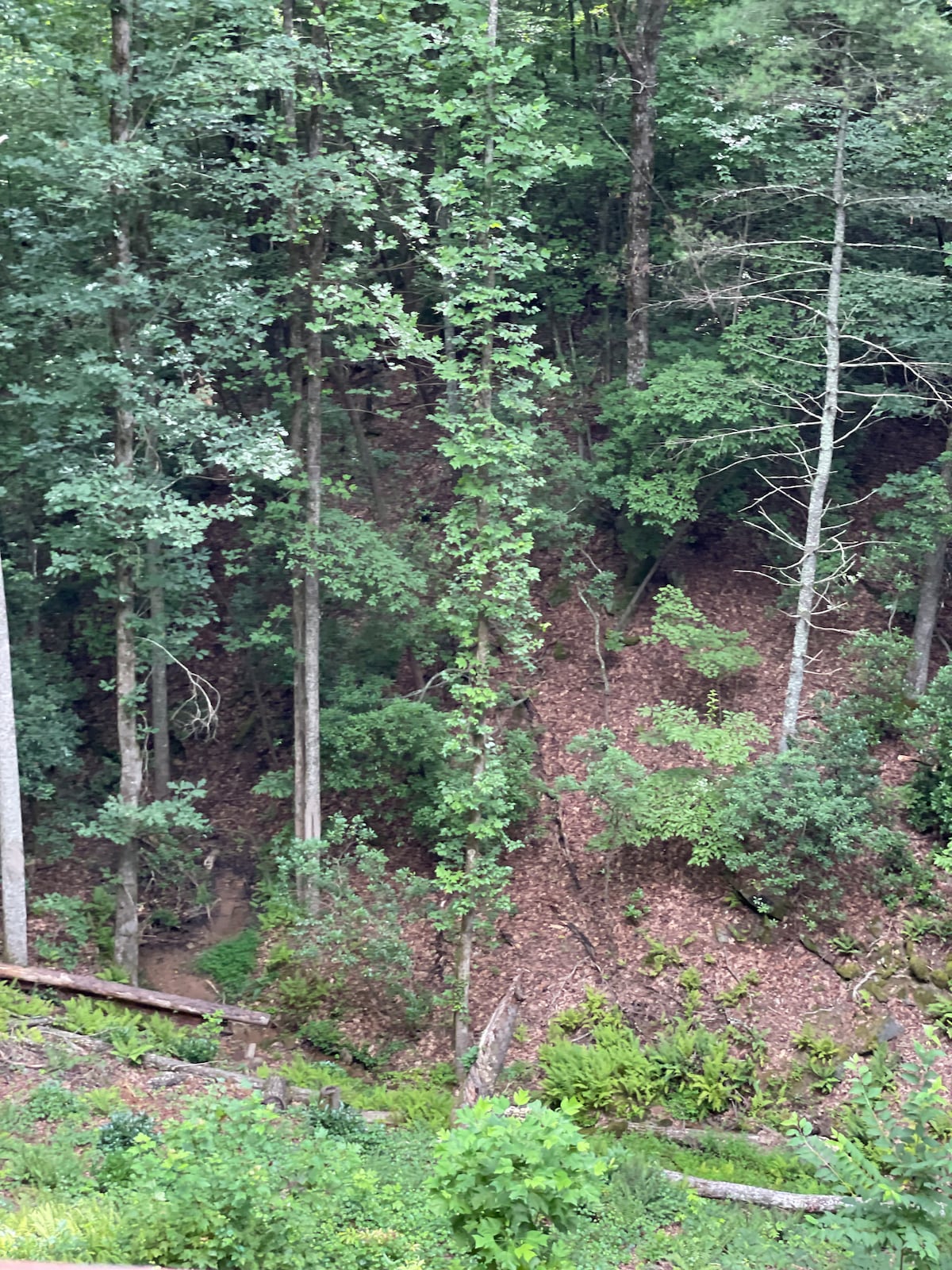 woodland-serenity-retreat-alpenhaus/