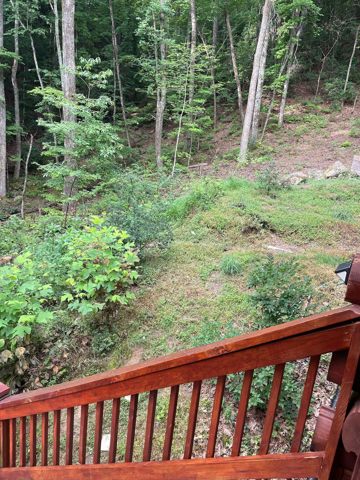 woodland-serenity-retreat-alpenhaus/