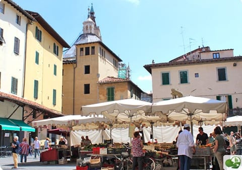 The weekly market in the historical center, near the apartment