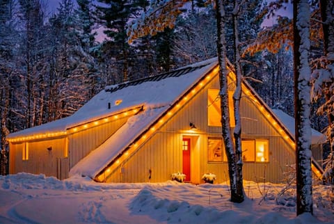 Winter Wonderland