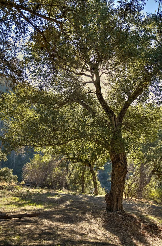 glamping-bell-tent-escape-on-palomar-mountain/