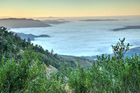 Aw - the views! Morning clouds rising over the valley